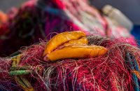 Local Products from Preveza and Amvrakikos Gulf